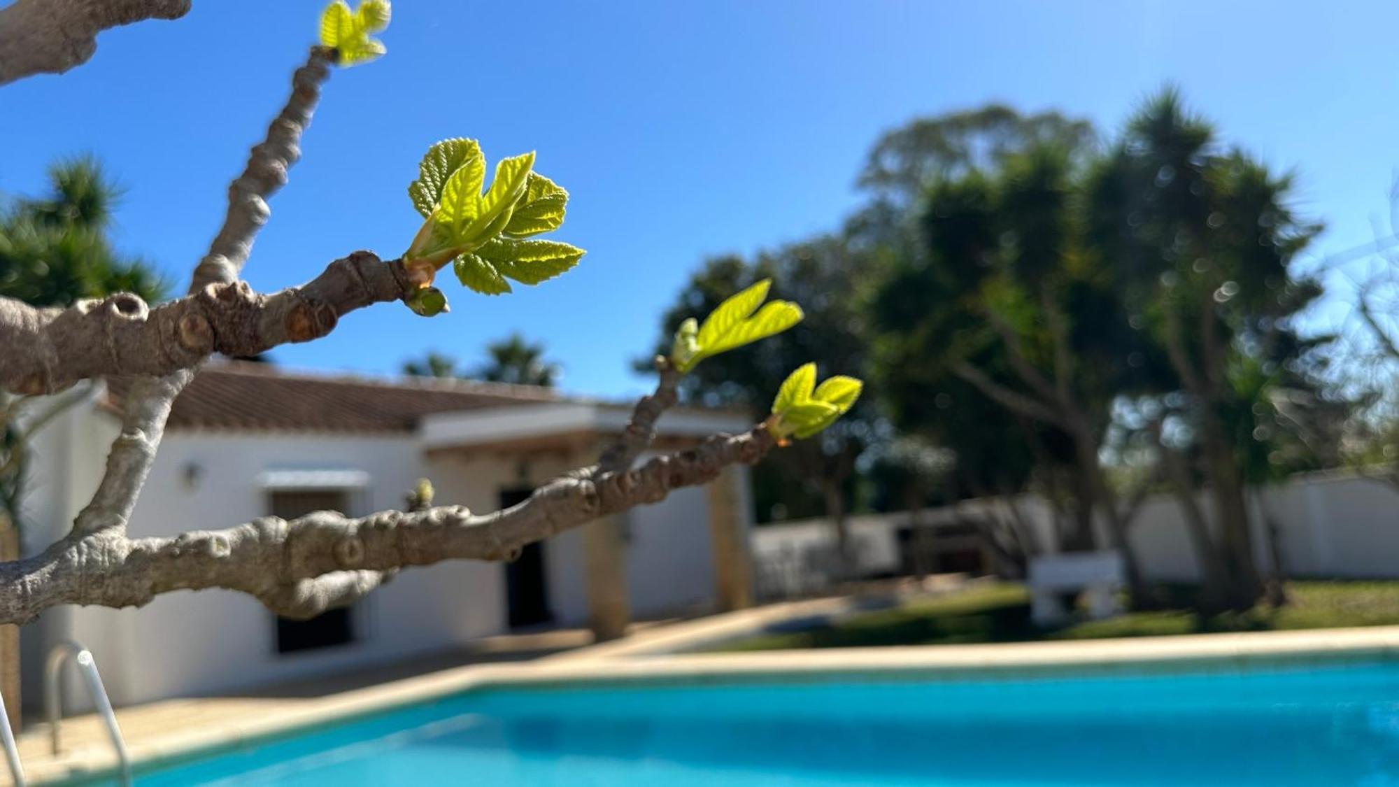 Vivienda Rural Atlantico Sur & Familias Guest House Конил-де-ла-Фронтера Екстериор снимка